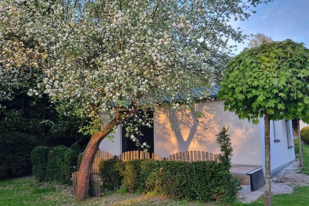 Вилла Pod Jablonia Быдгощ Экстерьер фото